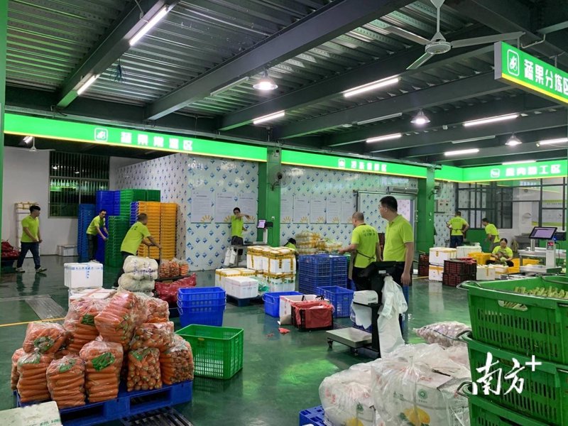餐饮管理有限公司：行业竞争中的佼佼者